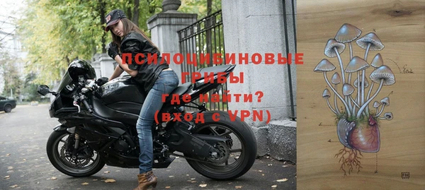 ешки Богородск