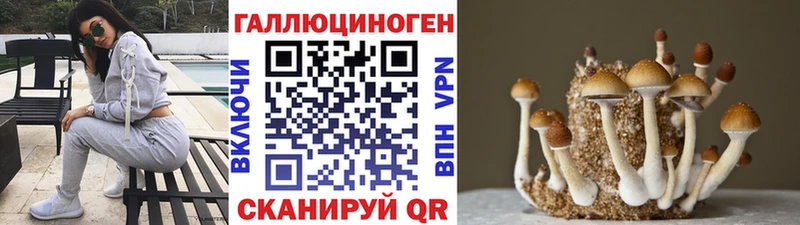 Псилоцибиновые грибы Cubensis  купить   это какой сайт  Ейск 